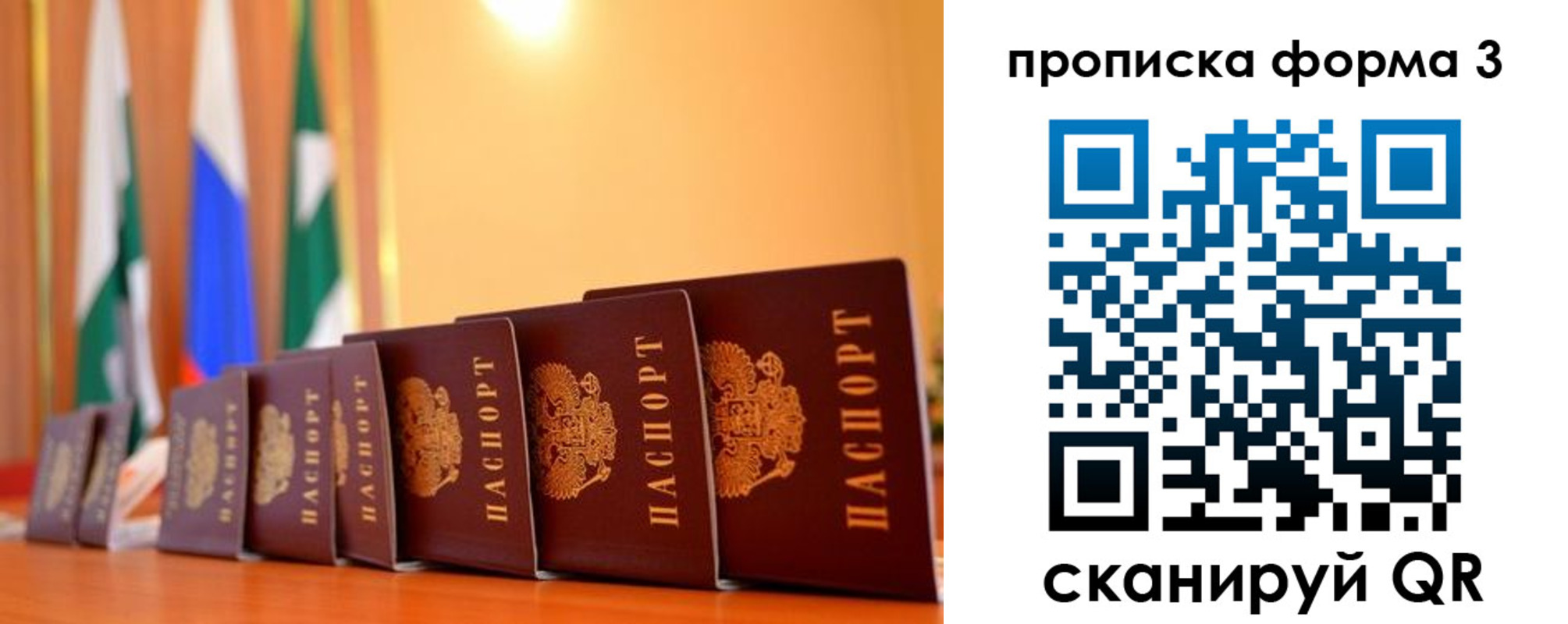 прописка штамп в Светлогорске